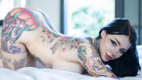 juneeberri - Morning Siren